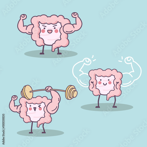health intestine
