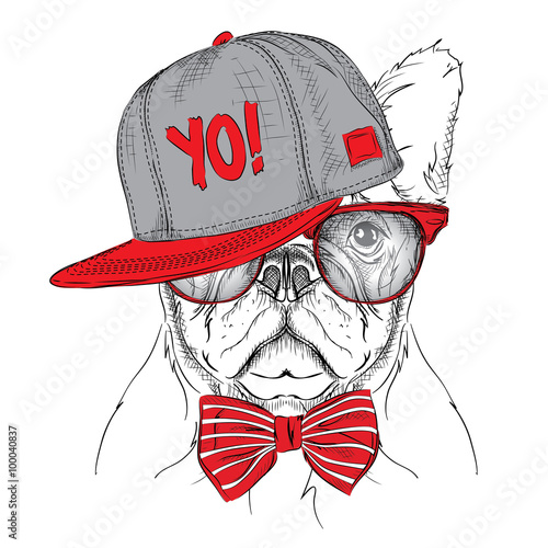 The poster with the image dog portrait in red and grey hip-hop hat. Vector illustration.