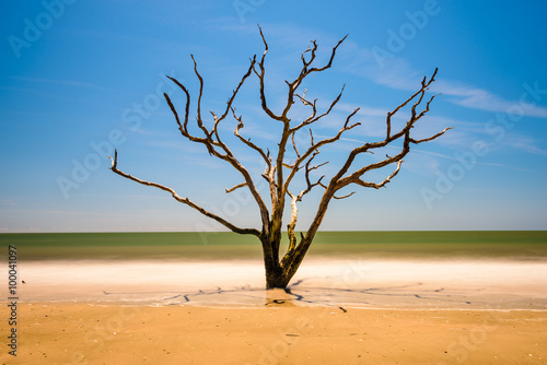 Edisto Island, South Carolina, USA