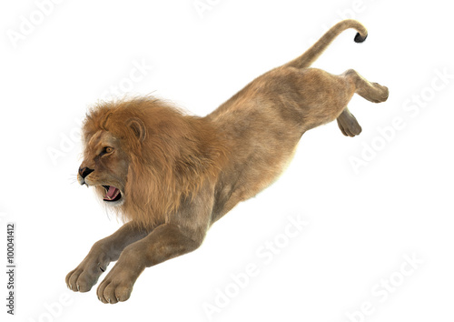 Fototapeta Naklejka Na Ścianę i Meble -  Male Lion on White