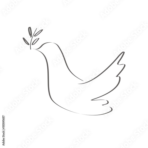 Paloma blanca sobre fondo blanco. Día mundial de La Paz