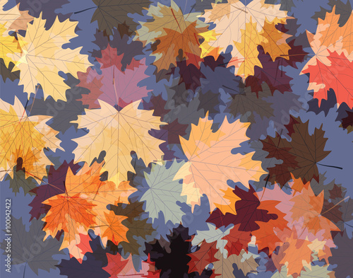 Autumn background with maple leaves on water. Vector