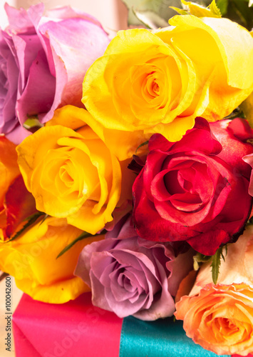 Colorful background of fresh roses