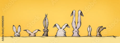 Hasenohren in unterschiedlicher Form und Größe 