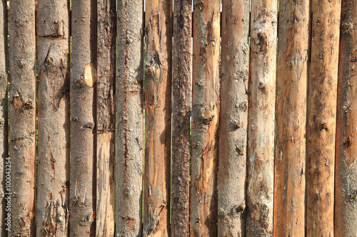 bark wood texture