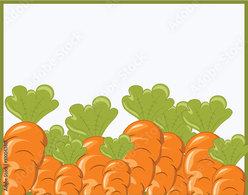 Bunch of Carrots. Place for text. Vector