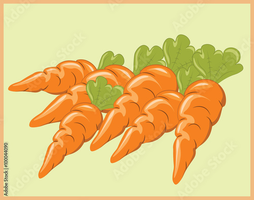 Bunch of Carrots. Vector 