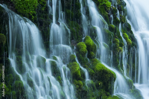 Stream in green forest