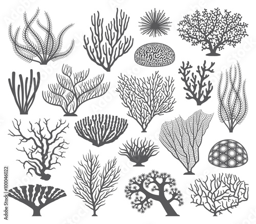 Leinwand Poster Coral formations Vector Silhouettes
