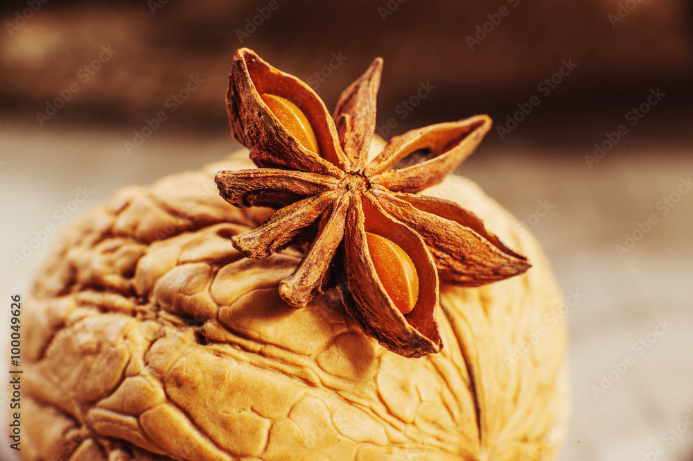 Anise stars Anise stars