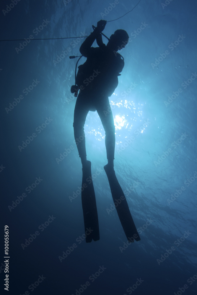 One scuba diver underwater near the Baa Atoll, Maldive Islands. One scuba diver underwater near the Baa Atoll, Maldive Islands.