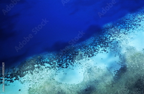 Coral reef seen through clear waters surrounding Mosso Island, Vanuatu.