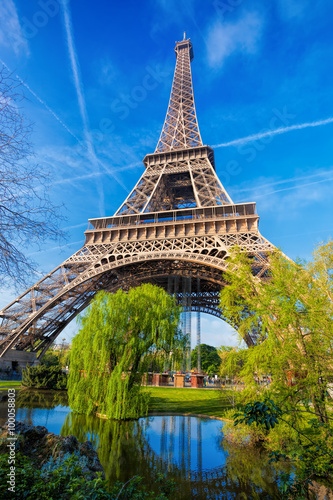 Eiffel Tower with spring tree in Paris, France © Tomas Marek