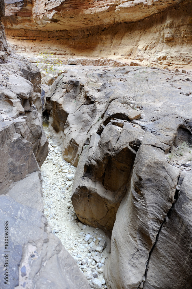 Dry wadi landscape in Jordan desert.