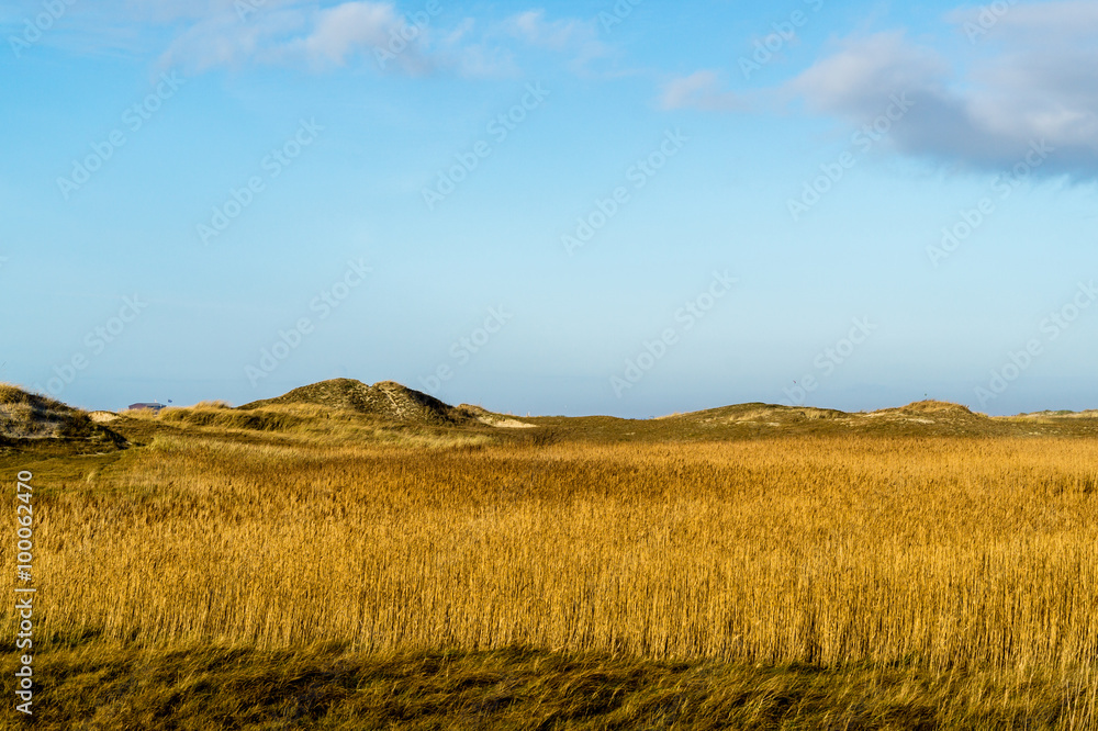 Dünenlandschaft Hintergrund