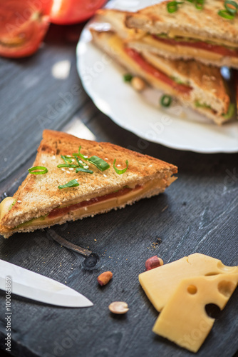 Cheese sandwich photo