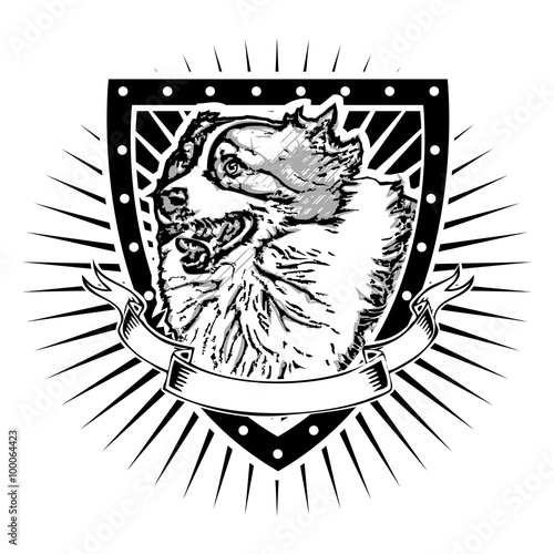 australian shepherd shield