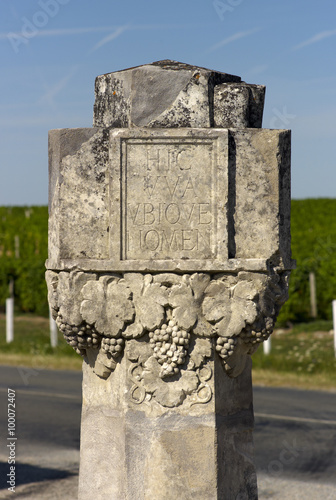 Bordeaux Chateau d Yquem photo