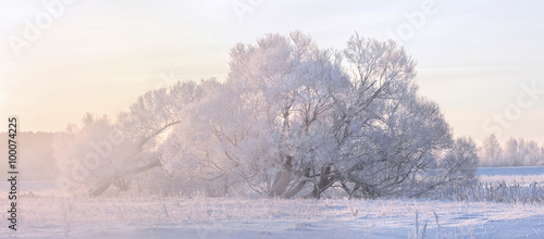 Misty winter sunrise © alexugalek