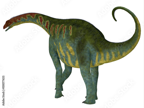 Jobaria Dinosaur Tail - Jobaria was a herbivorous sauropod dinosaur that lived in the Jurassic Period of the Sahara Desert in Africa. © Catmando