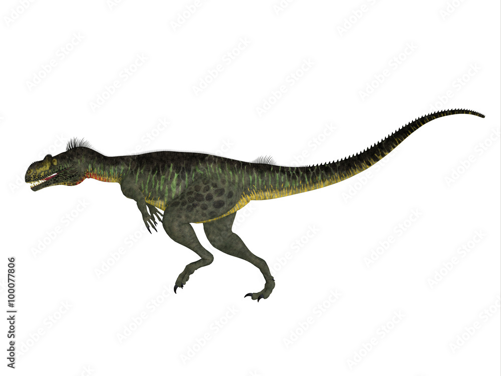 Megalosaurus Side profile - Megalosaurus was a large carnivorous theropod dinosaur that lived in the Jurassic Period of Europe. Megalosaurus Side profile - Megalosaurus was a large carnivorous theropod dinosaur that lived in the Jurassic Period of Europe.