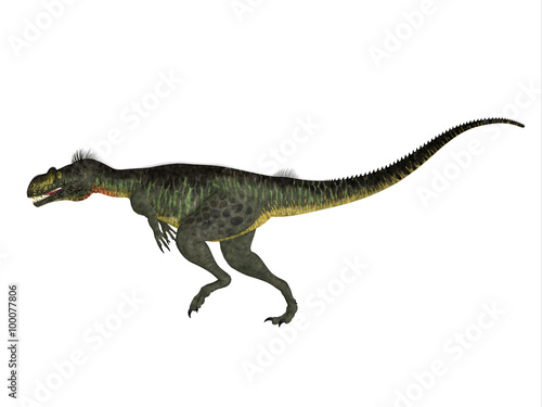 Megalosaurus Side profile - Megalosaurus was a large carnivorous theropod dinosaur that lived in the Jurassic Period of Europe. © Catmando