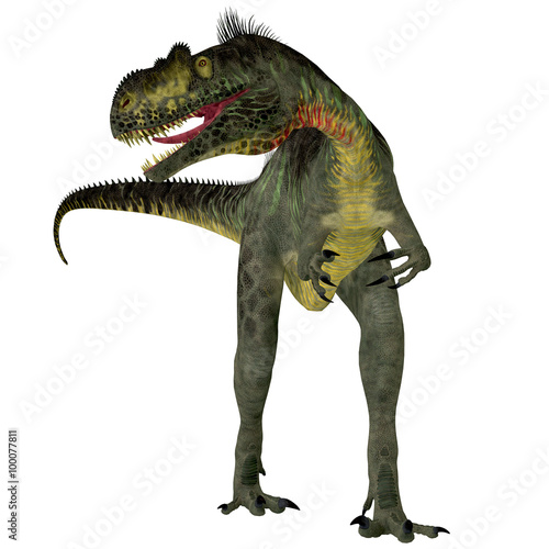 Megalosaurus on White - Megalosaurus was a large carnivorous theropod dinosaur that lived in the Jurassic Period of Europe.