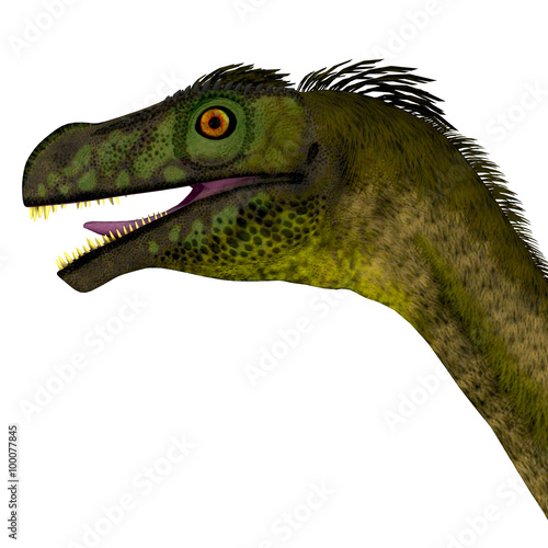 Ornitholestes Dinosaur Head - Ornitholestes was a small carnivorous dinosaur that lived in the Jurassic Period of Western Laurasia which is now North America. photo