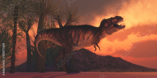 T-Rex Tyrant - A Tyrannosaurus Rex dinosaur roars to claim his territory as the sun sets on a Cretaceous day in North America. photo