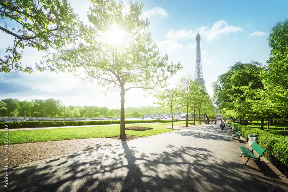 Naklejka premium sunny morning and Eiffel Tower, Paris, France