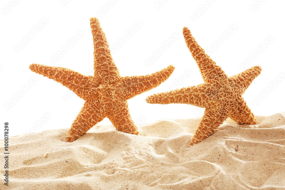 Big beautiful starfishes on sand against white background Big beautiful starfishes on sand against white background