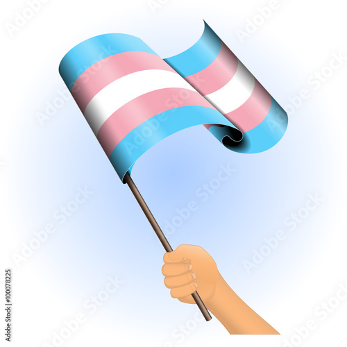 Hand holding a transsexual pride flag vector