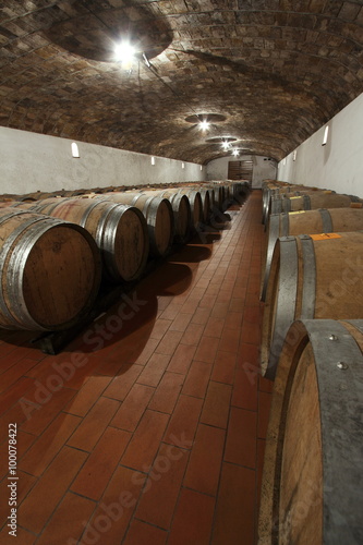 barili in cantina photo