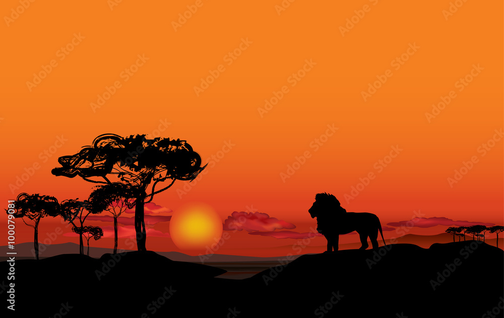 African landscape with animal lion silhouette. Savanna sunset