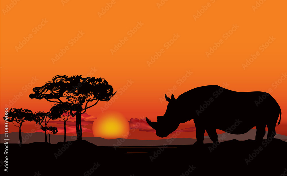 African landscape with animal silhouette. Savanna sunset background