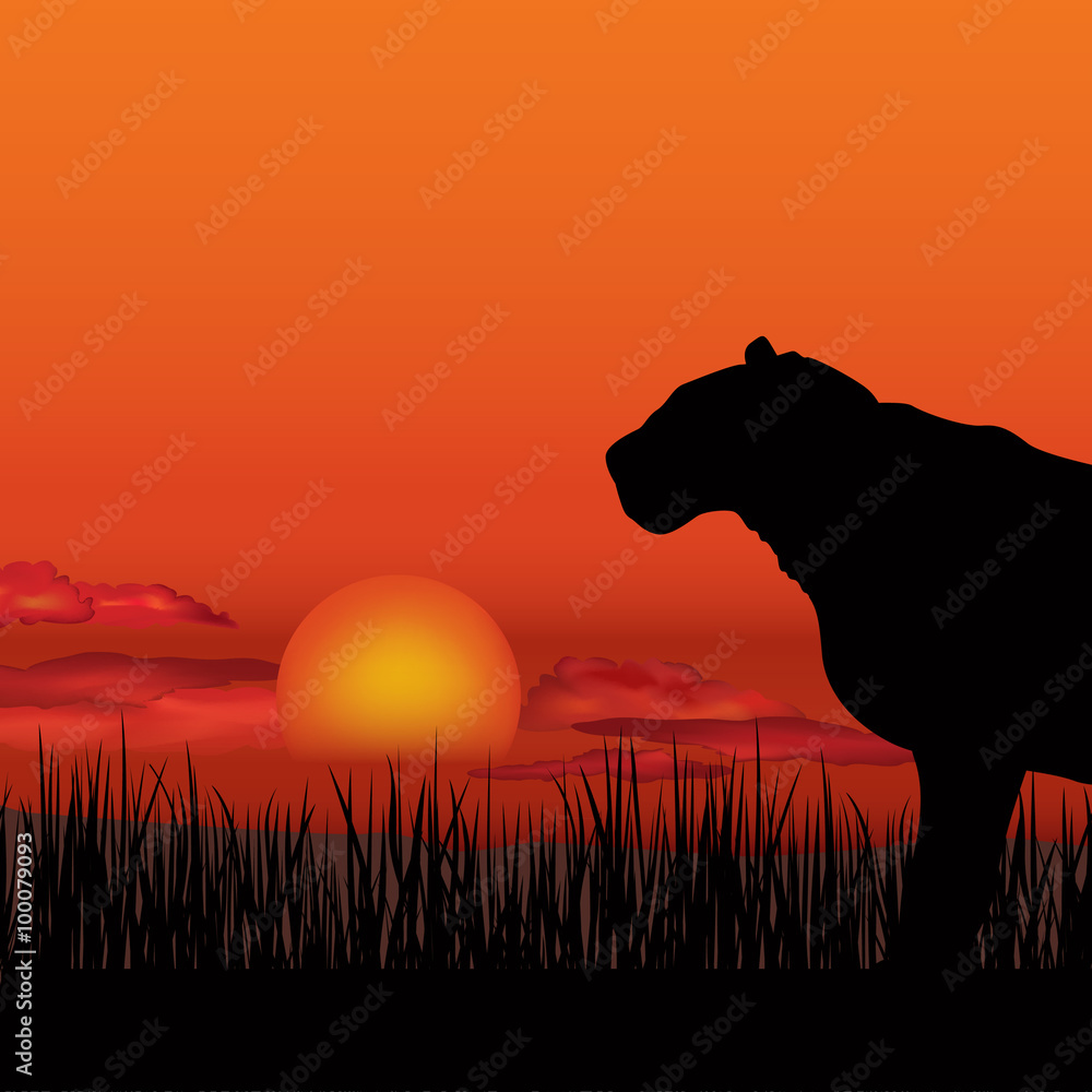 African Landscape Sunset With Animals