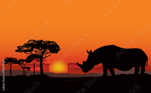 African landscape with animal silhouette. Savanna sunset background