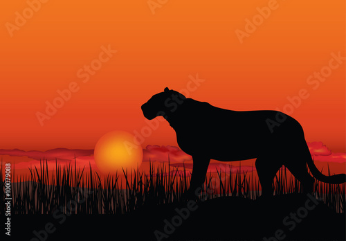 African landscape with animal silhouette. Savanna sunset landscape background