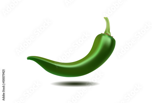 Chilli green. Vector illustration on white background