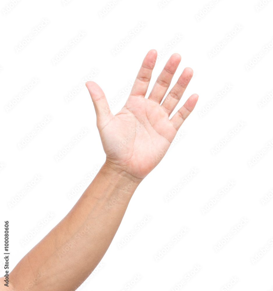 Man hand isolated on white background Man hand isolated on white background