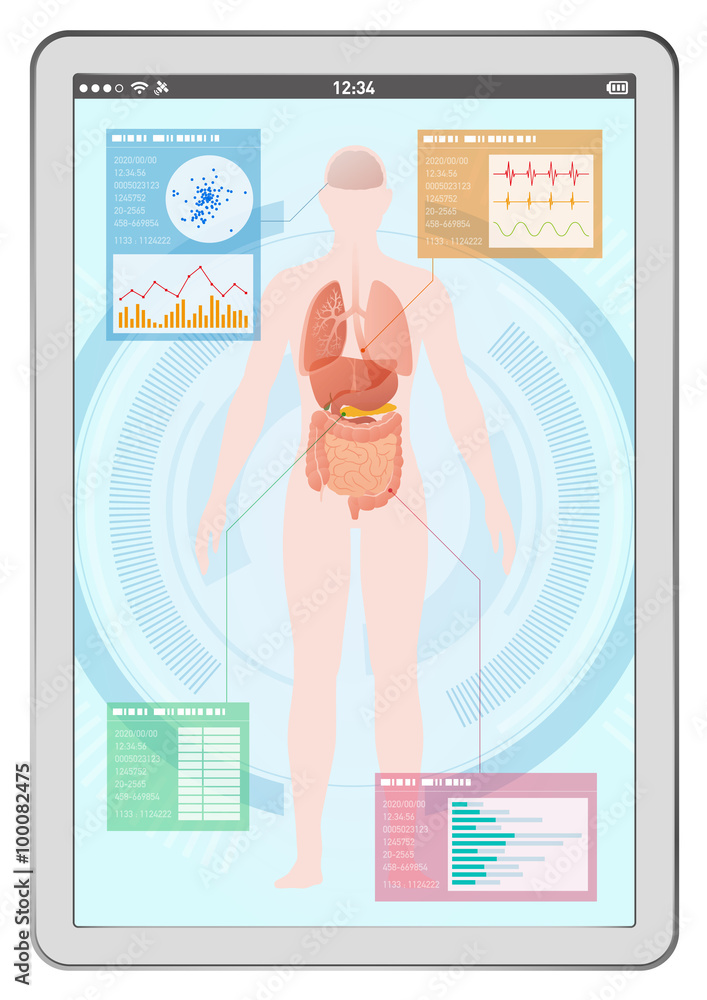 medical interface on tablet PC, human body and digestive organs, vector ...