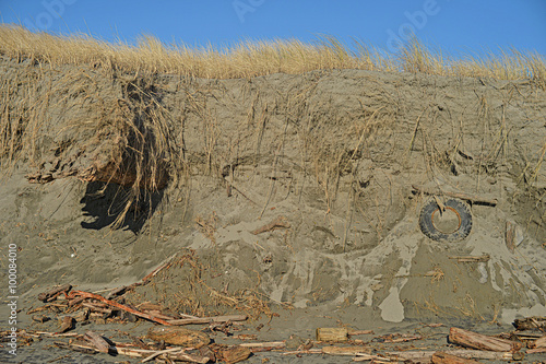 beach erosion at the Washington coast in the Pacific Northwest