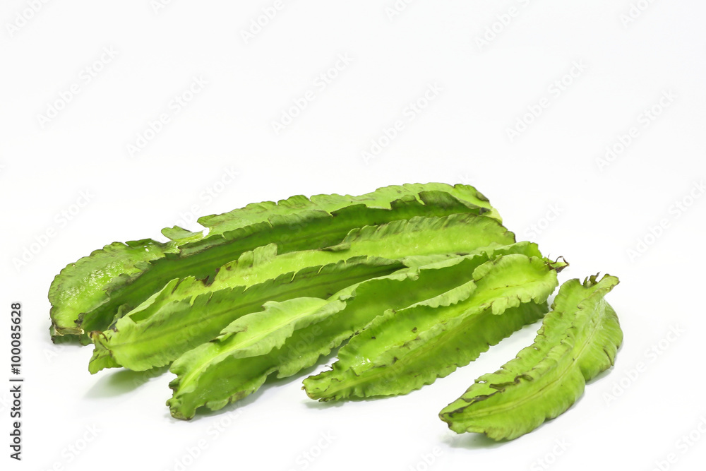 Winged Bean Goa bean