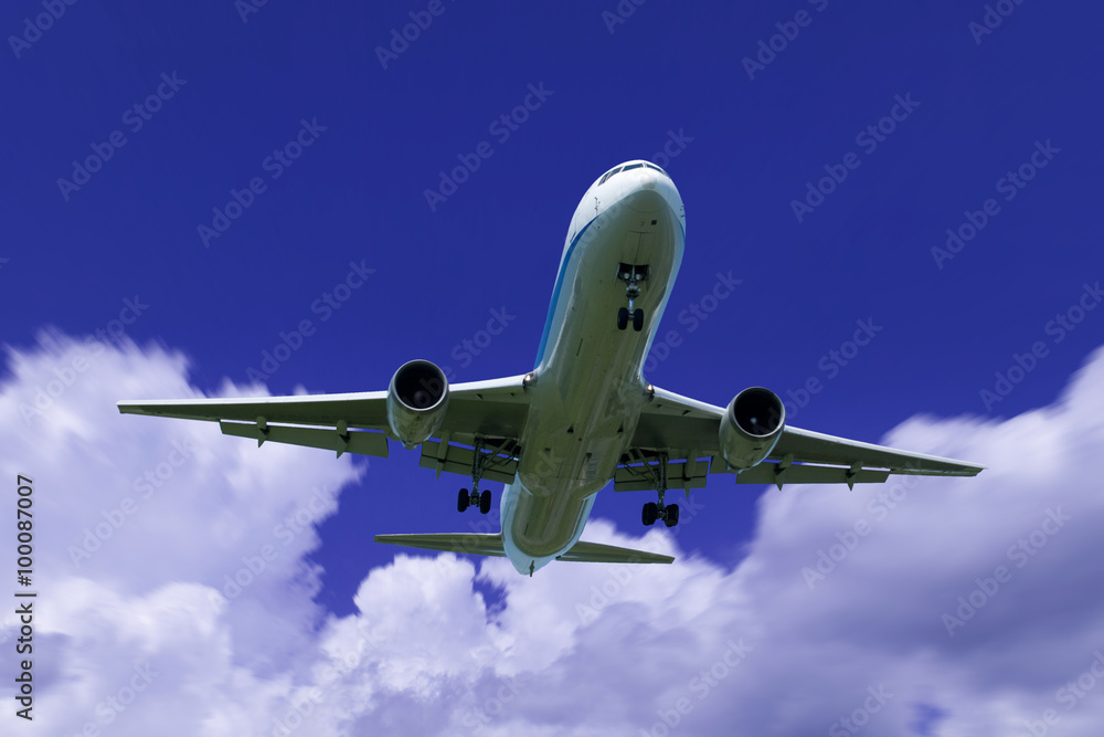 Obraz premium 旅客機