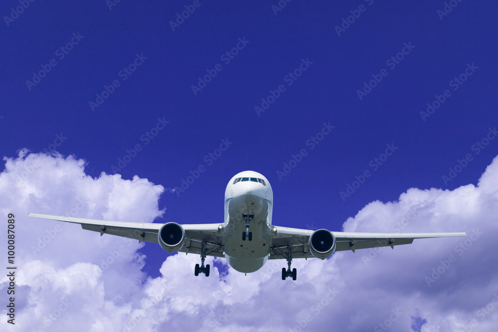 Fototapeta premium 旅客機