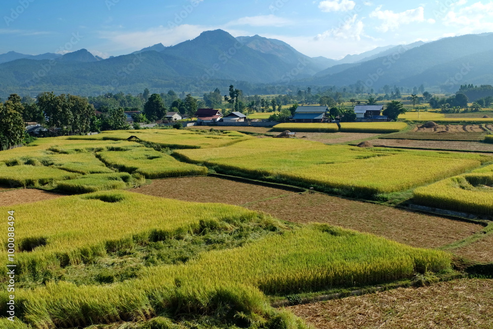 Fields and Mountains,At nan,thailand