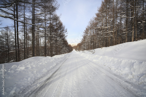 雪道