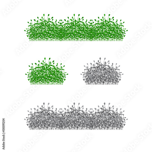 grass, shrubs. Textures illustrated images