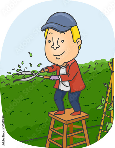 Man Trimming Garden Hedge