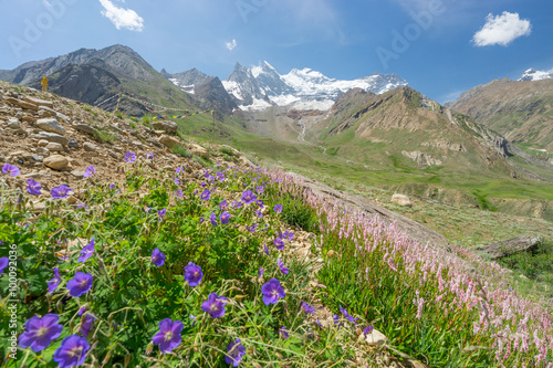 Zanskar landscape in summer